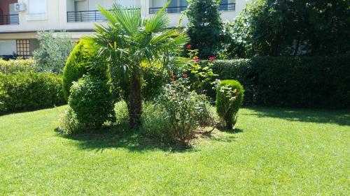  Ioanna Apartment in Peraia