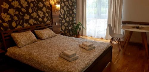 One-Bedroom Apartment image 7
