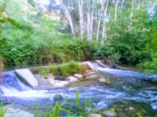 磨坊乡村民宿 磨坊乡村民宿