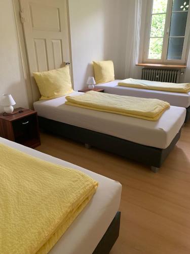 Wein Lodge Durbach - Gruppenhaus Weingut Neveu in 杜爾巴赫