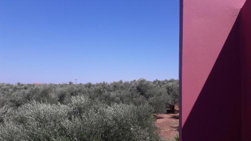  Red Cottage in the Olive Tree Fields in Glifádha