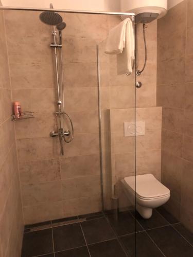 Antwerp apartments - image 3