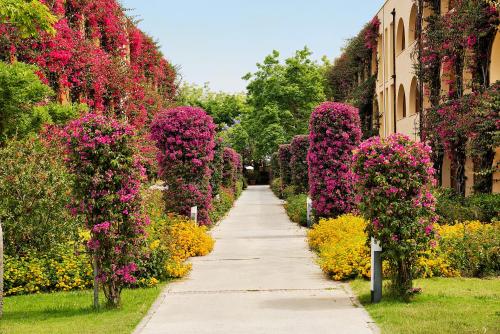 TUI MAGIC LIFE Calabria Private Lodge - image 12