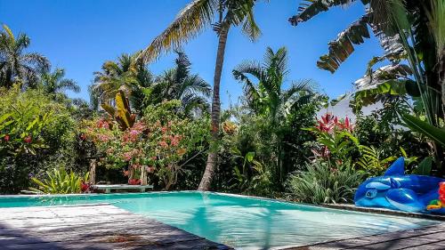 Villa Strelitzia Cabarete