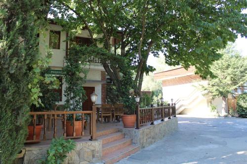 Complex Ekaterina - image 4