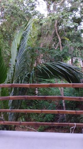 MINI PINI BIRD WATCHING AND CENOTE Loft