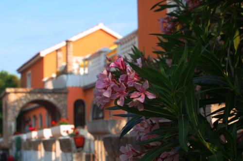  Pansion Galeb in Drage