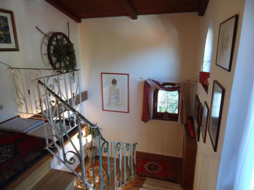 Haus Niederegger - main image
