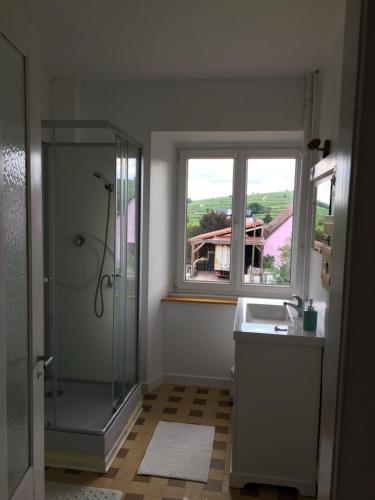 gîtes au domaine Greiner - image 10