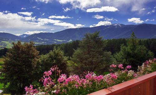 Appartement- und Wellnesshotel Winkler - image 11