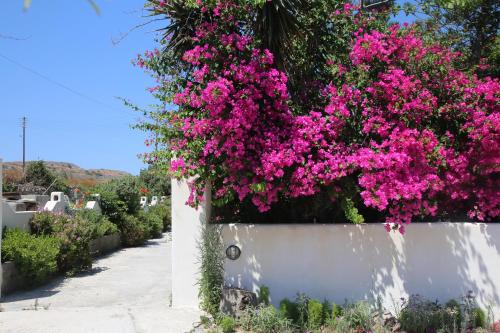 Pension Ioanna 2