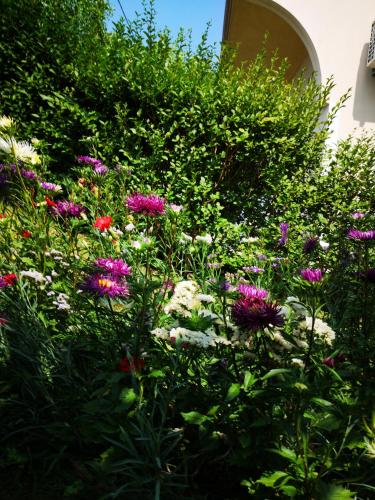  Apartment Žižula in Podstrana