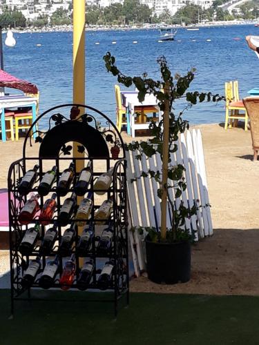 MELEK OTEL / ANGEL HOTEL in Muğla