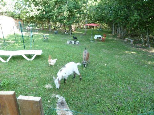 GITE "LES GILLES" ET SES ANIMAUX CALME-BON AIR - 5 personnes