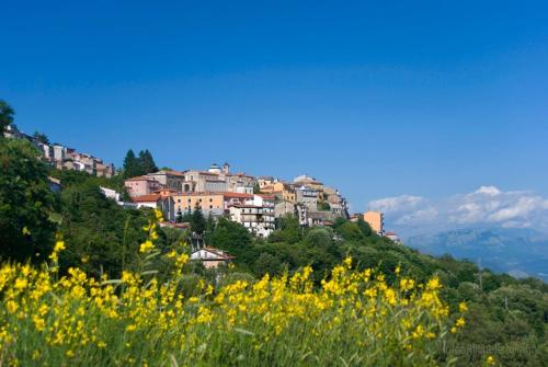 Agriturismo Ai Monaci - Hotel - Montano Antilia