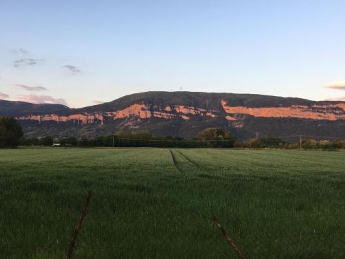 MONTALIEU SEJOUR 2 Maisons, Les tulipes ou Les Bambous