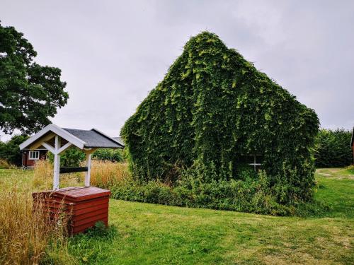 STF Hagaby/Lantgården Hostel - image 3
