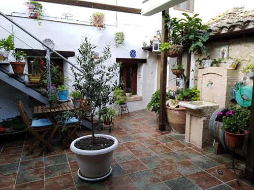 Seadmed, Casa Eloísa (Casa Eloisa) in Alarcon