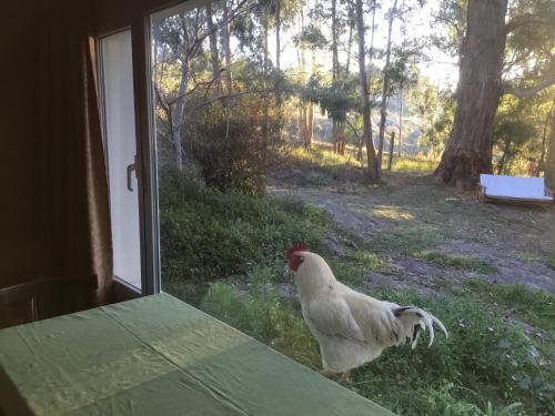 Entre Sierras B&B in 탄딜