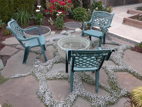 ทัศนียภาพ, Vancouver Traveller B&B near โรเจอร์ส อารีนา