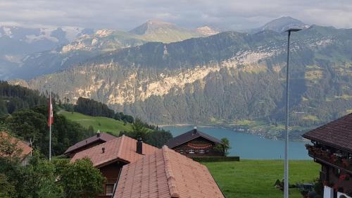 App. Seeblick Top of Interlaken - Apartment - Beatenberg