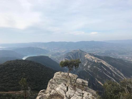 Apartamento Cinca Pirineo en Aínsa