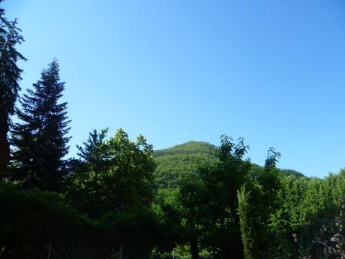 Villa Lucchesi - image 4