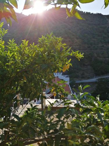 Hostel Douro Backpackers