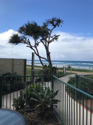 Sanctuary Beach Resort photo 3