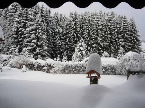 Ferienwohnung Haus Edelweiss in เกรอเนบัค