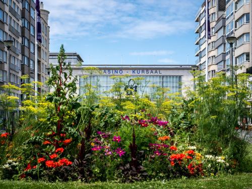 Omgivelser, Hotel Mercure Oostende in Ostend sentrum