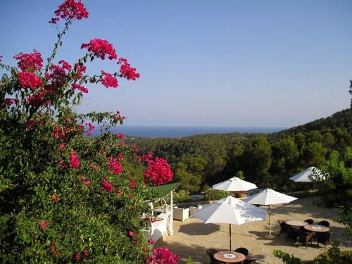 Agroturismo Can Talaias San CArlos - image 11