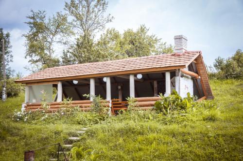 Sadyba Lukacha - image 4