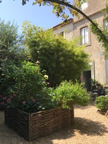 Le logis blanc bed&breakfast