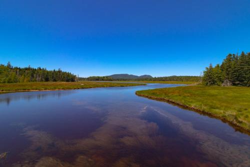 Pond Hill - image 2