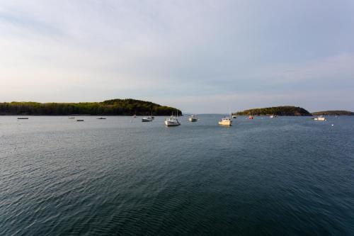 Pond Hill - image 5