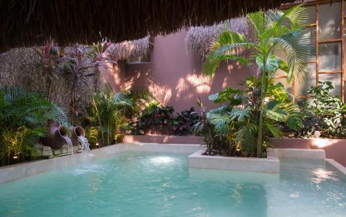 Beachfront Jungle Villa