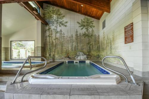 Pines 2163 - image 2