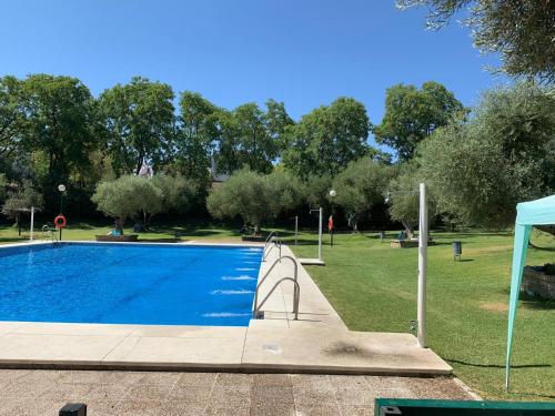 El Balcón de Sevilla, Севилья