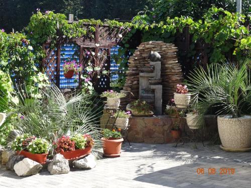 Lukomorye Guest House - image 5