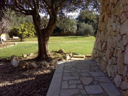 Ideal house for families. Very quiet area and good access by car. - image 8