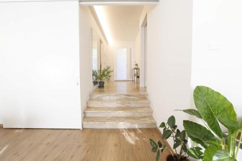 Pisacane61 B&B 4
