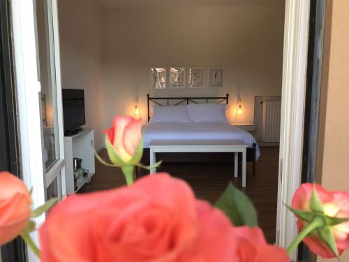Pisacane61 B&B 4