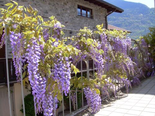 Residenza Antica Corte Villa Picta