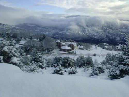  Artemis Kallisti, Pension in Amfissa