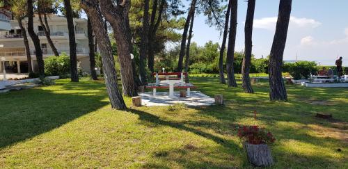  Into the sea apartment!!! in Kassandria