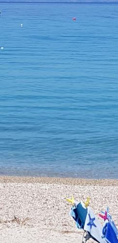  Into the sea apartment!!! in Kassandria
