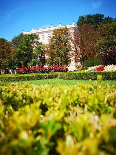 Apartma Oranžno Poletje Ljubljanski Dom 5