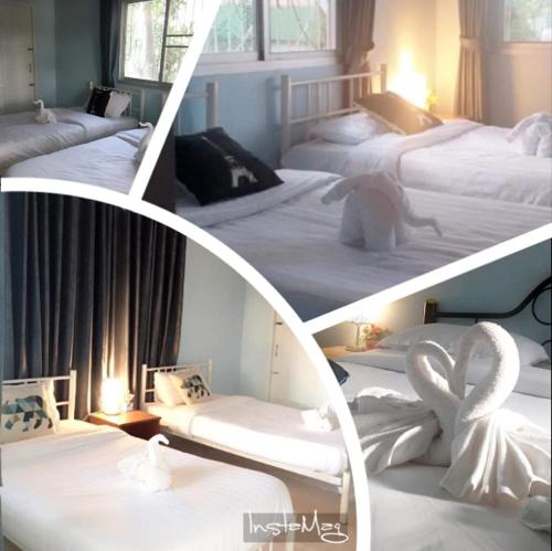 %name Baan Chomdao น่าน