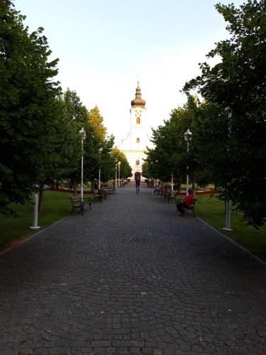 Studio apartman CENTAR